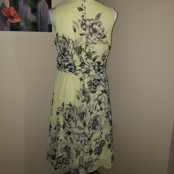 Christopher & Banks SZ 10 NWT - Picture 5 of 8